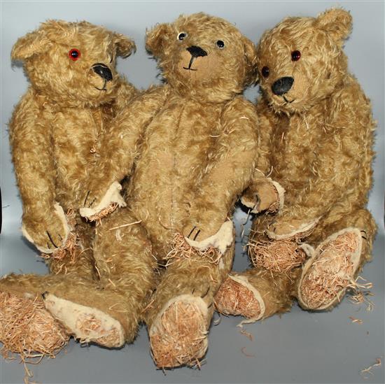 3 x teddy bears